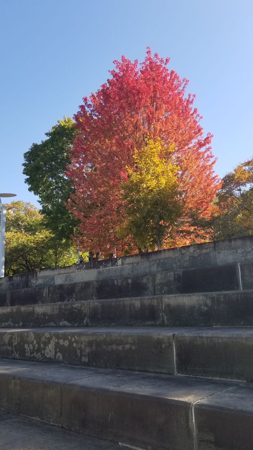 Point Place Park and  Heritage Trail 